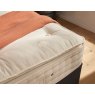 Hypnos Hypnos Pillow Comfort Calm